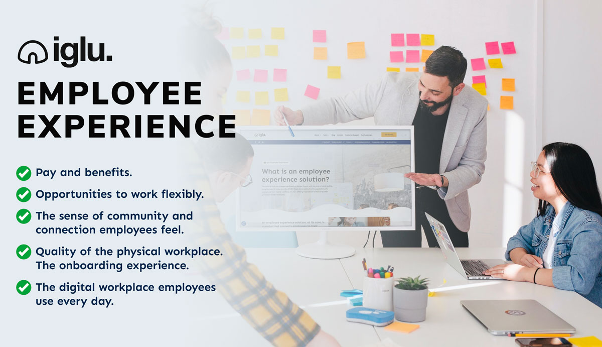 Iglu Employee experience